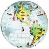 Inflatable Physical 68cm NEW World Globes 