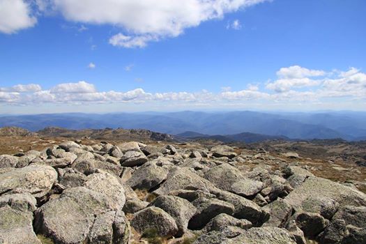 Six things to do in the Snowys in Summer
